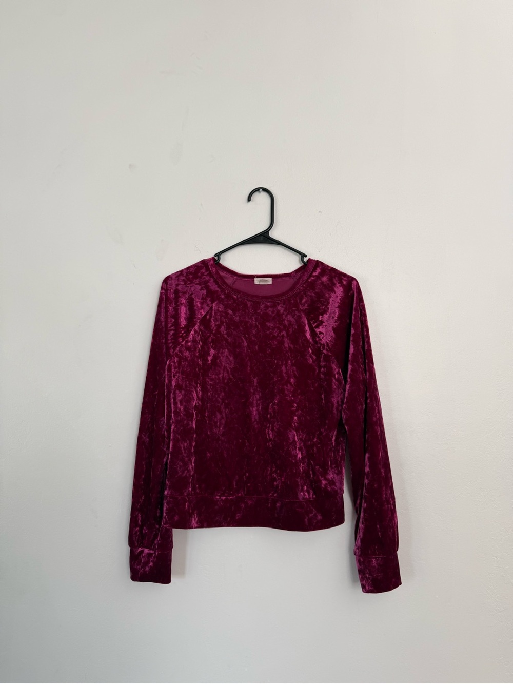 Wild Pearl Velvet Crewneck Sweatshirt - Berry